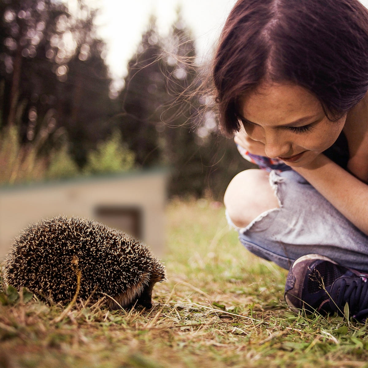 IGELHAUS - Hellbraun, Holz/Kunststoff (40/21.5/40cm) - Relaxdays