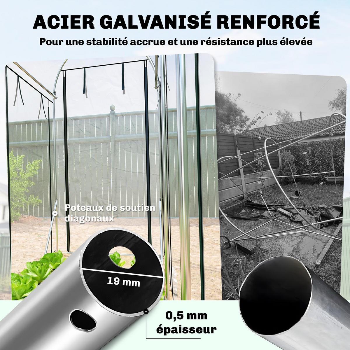 GEWÄCHSHAUS DE-12066 8 Rolltüren Transparent - Transparent, Metall (100/197/295cm) - ComfortXL
