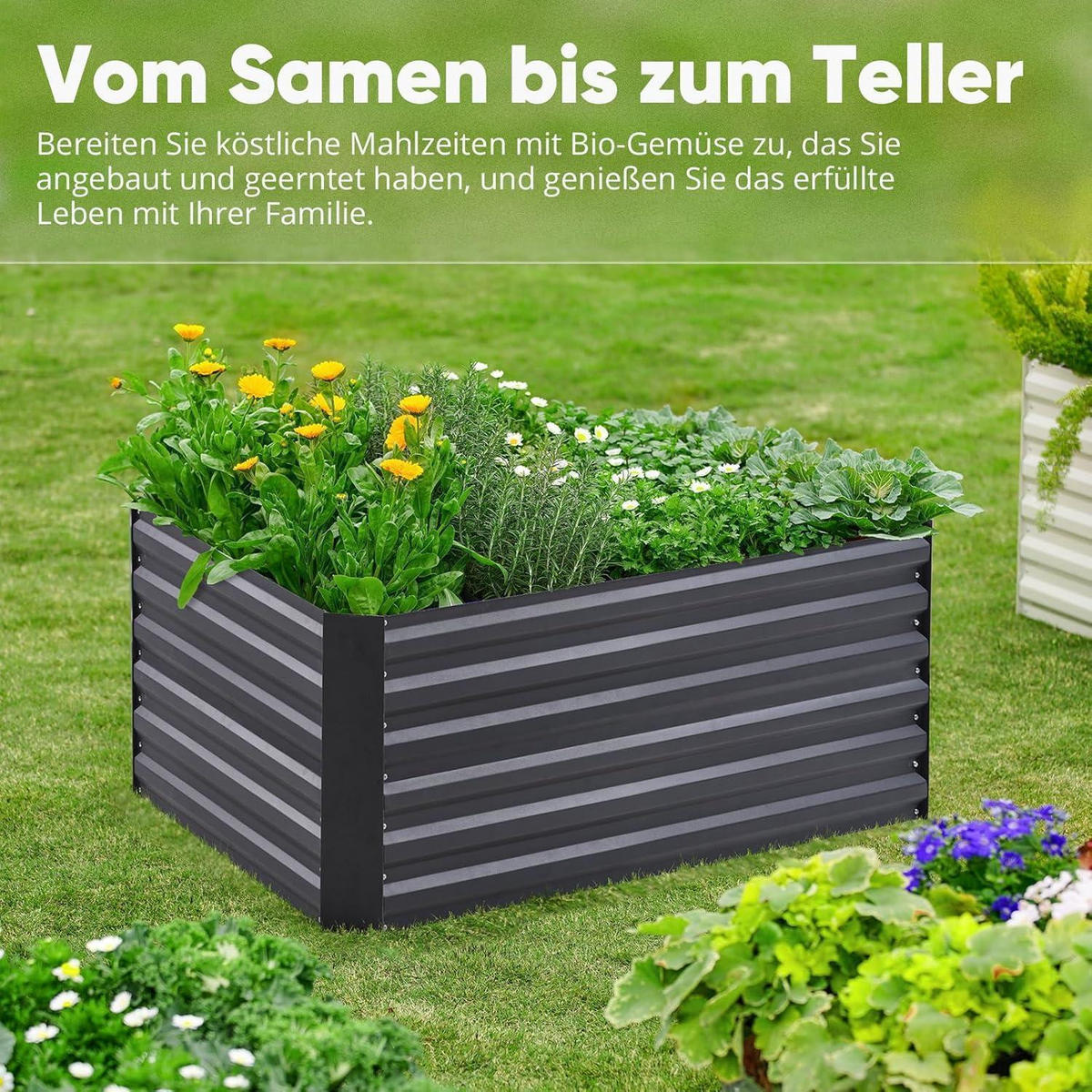 HOCHBEET Metall Grau 120 x 90 x 56 cm mit Tomatenkäfig - Schwarz, Metall (90/56/120cm)