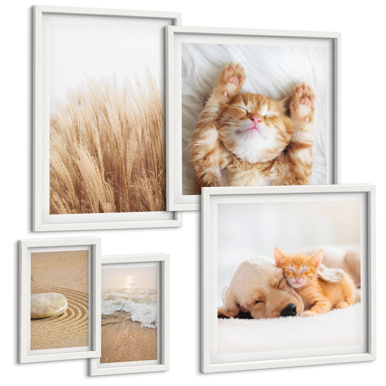 BILDER SET 5er Set - 50x50 cm & 20x30 cm & 40x60 cm Weißer Rahmen - Niedliche Tiere, Katzen, Hunde, Strand - Weiß, Kunststoff (40/60cm) - TULUP