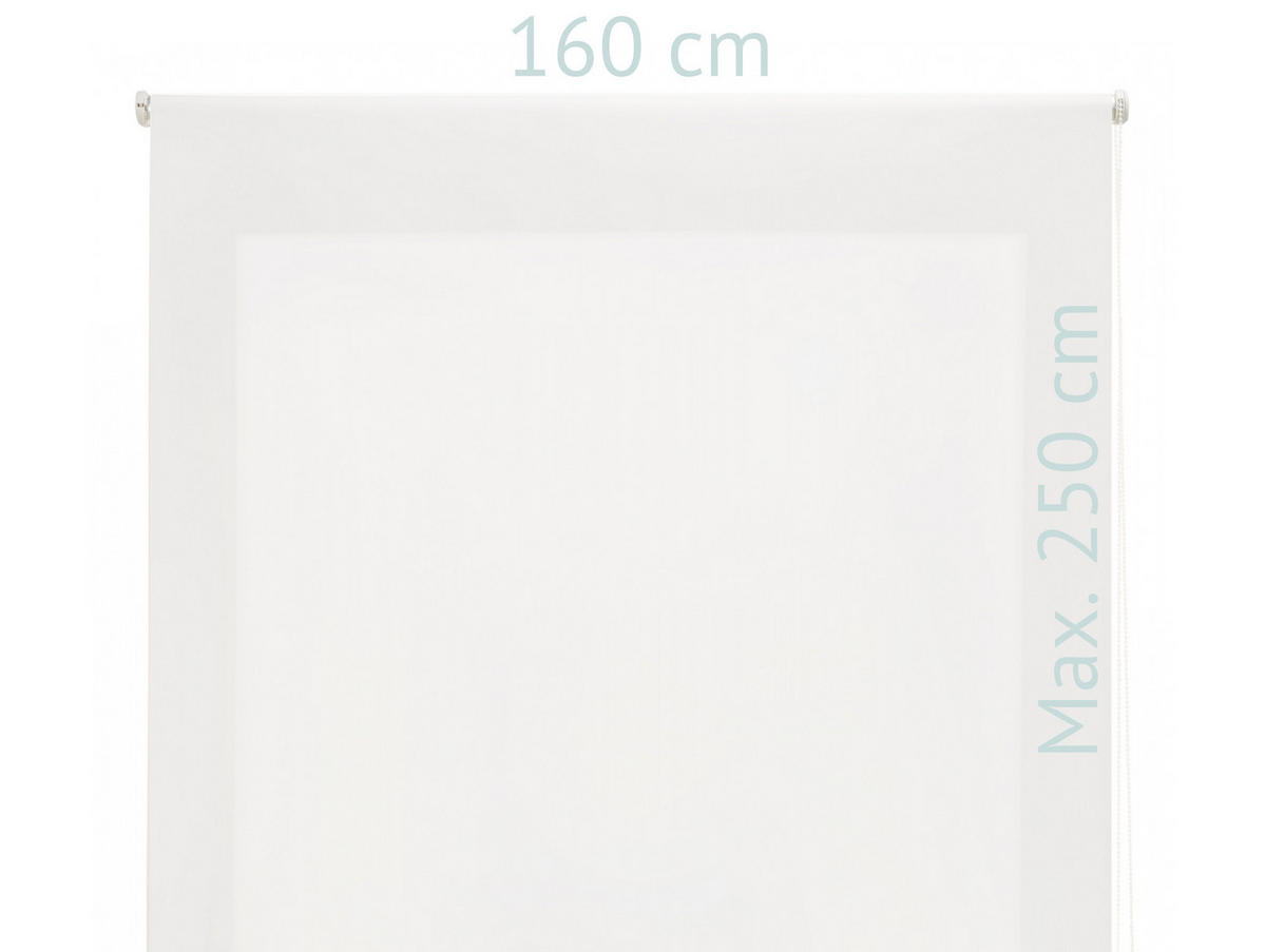 ROLLO Polyester Transluzent Grauweiß 160x250 - Hellgrau, Textil (160/250/1cm) - Purline