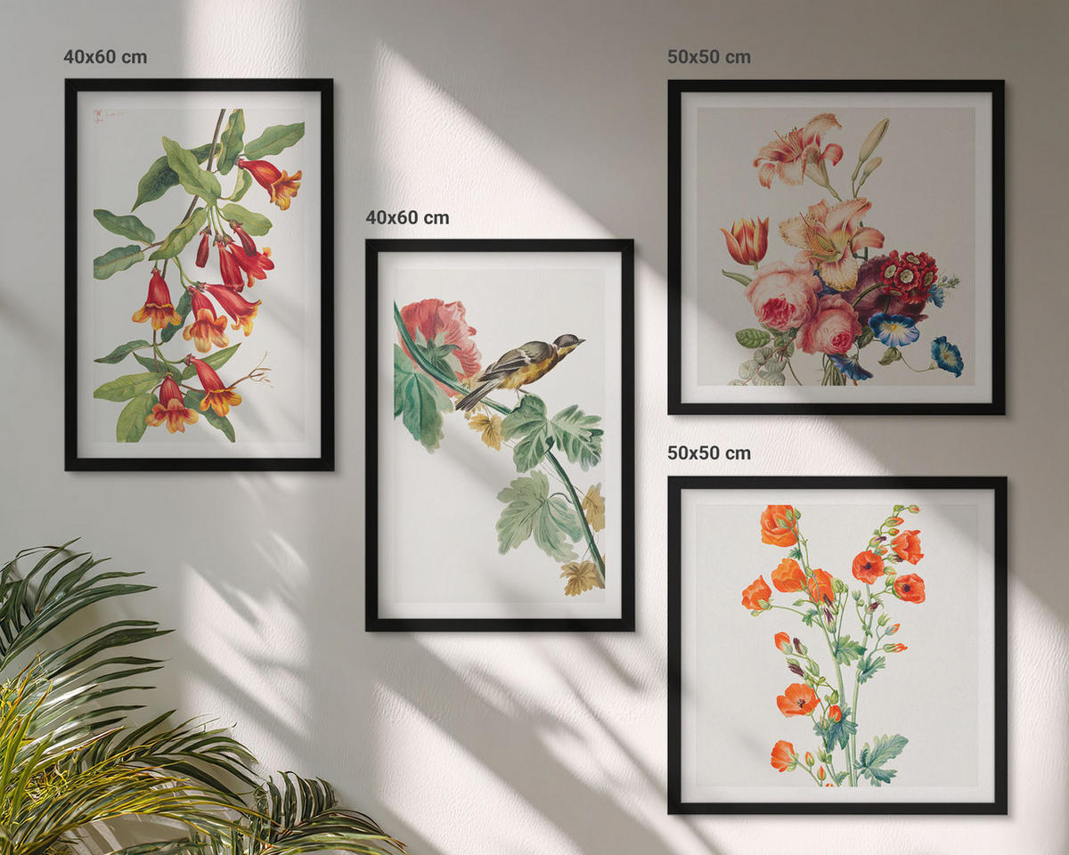 BILDER SET 4er Set - 50x50 cm & 40x60 cm Schwarzer Rahmen - Gemalte Blumen, Retro-Vogel - Schwarz, Kunststoff (50/50cm) - TULUP