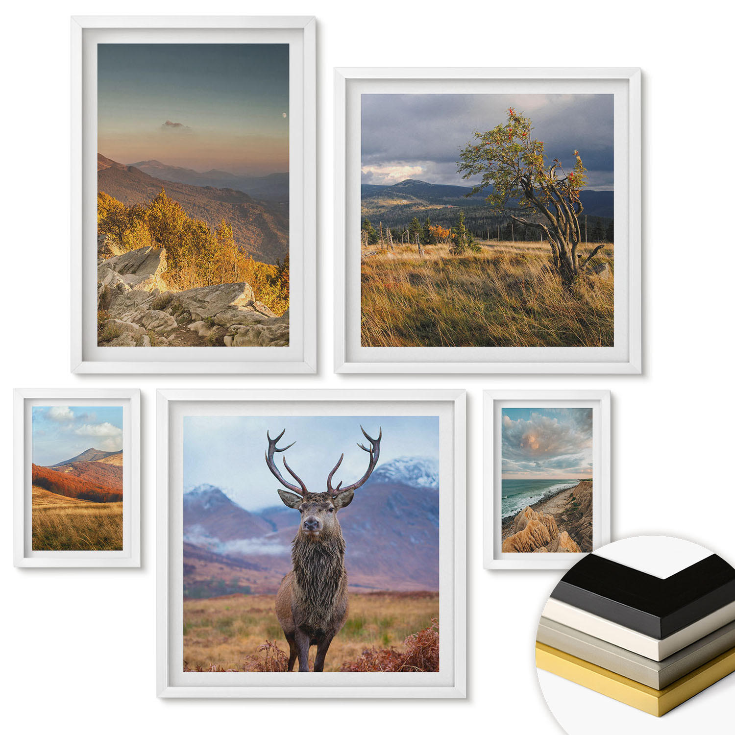 WANDBILDER 5er-Set - 50x50 cm & 20x30 cm & 40x60 cm Weißer Rahmen - Berglandschaften, Hirschgras - Weiß, Kunststoff (40/60cm) - ArtPrintCave