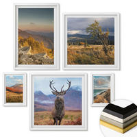 WANDBILDER 5er-Set - 50x50 cm & 20x30 cm & 40x60 cm Weißer Rahmen - Berglandschaften, Hirschgras - Weiß, Kunststoff (40/60cm) - ArtPrintCave