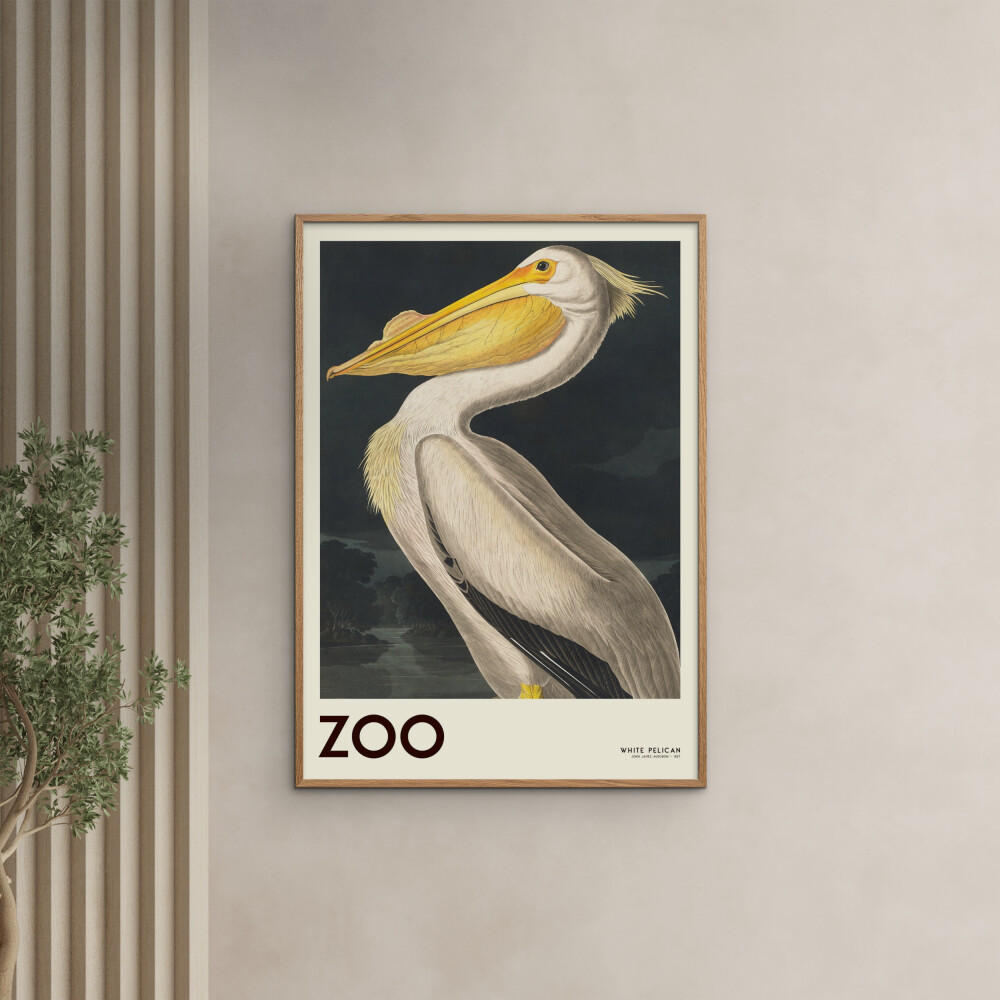 POSTER mit Rahmen A.P. Atelier - The Zoo Collection — White Pelican — Edt. 001 - Pink/Eichefarben, Holz/Papier (30/40cm) - Poster&Frame