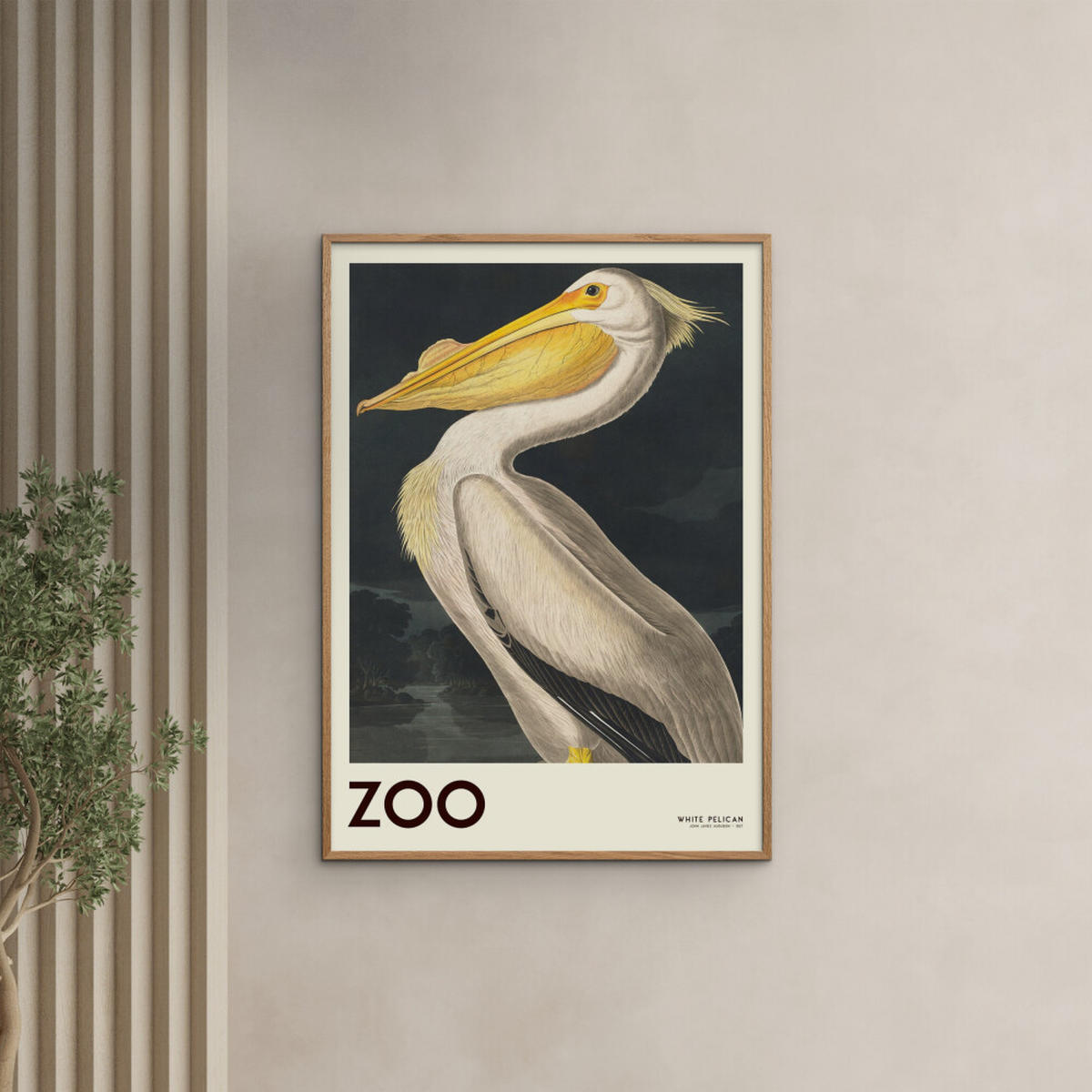 POSTER mit Rahmen A.P. Atelier - The Zoo Collection — White Pelican — Edt. 001 - Pink/Eichefarben, Holz/Papier (30/40cm) - Poster&Frame