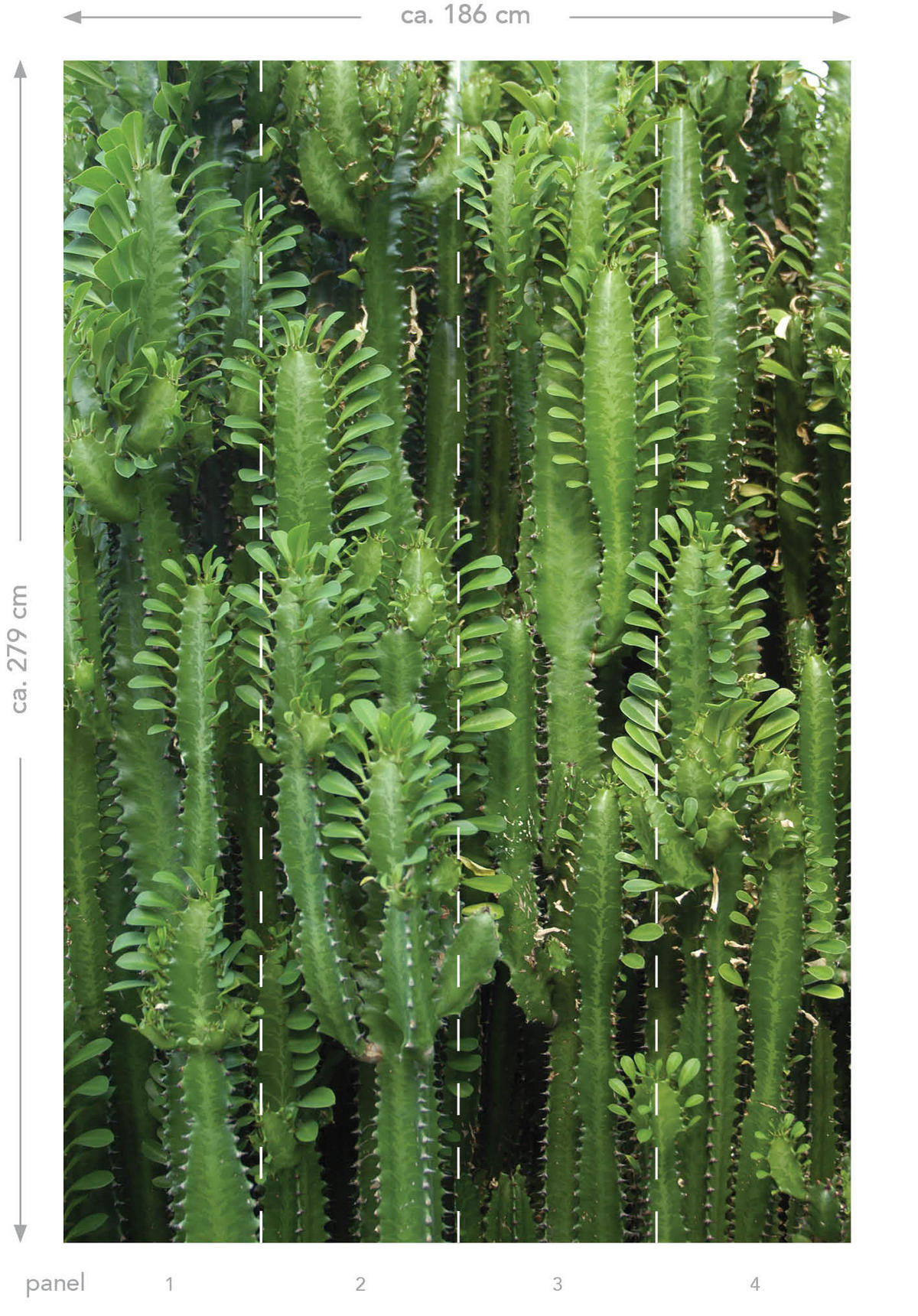 FOTOTAPETE tropische Dschungelwand mit Kakteen 186 x 279 cm - Grün, Papier (186/279cm) - ESTAhome