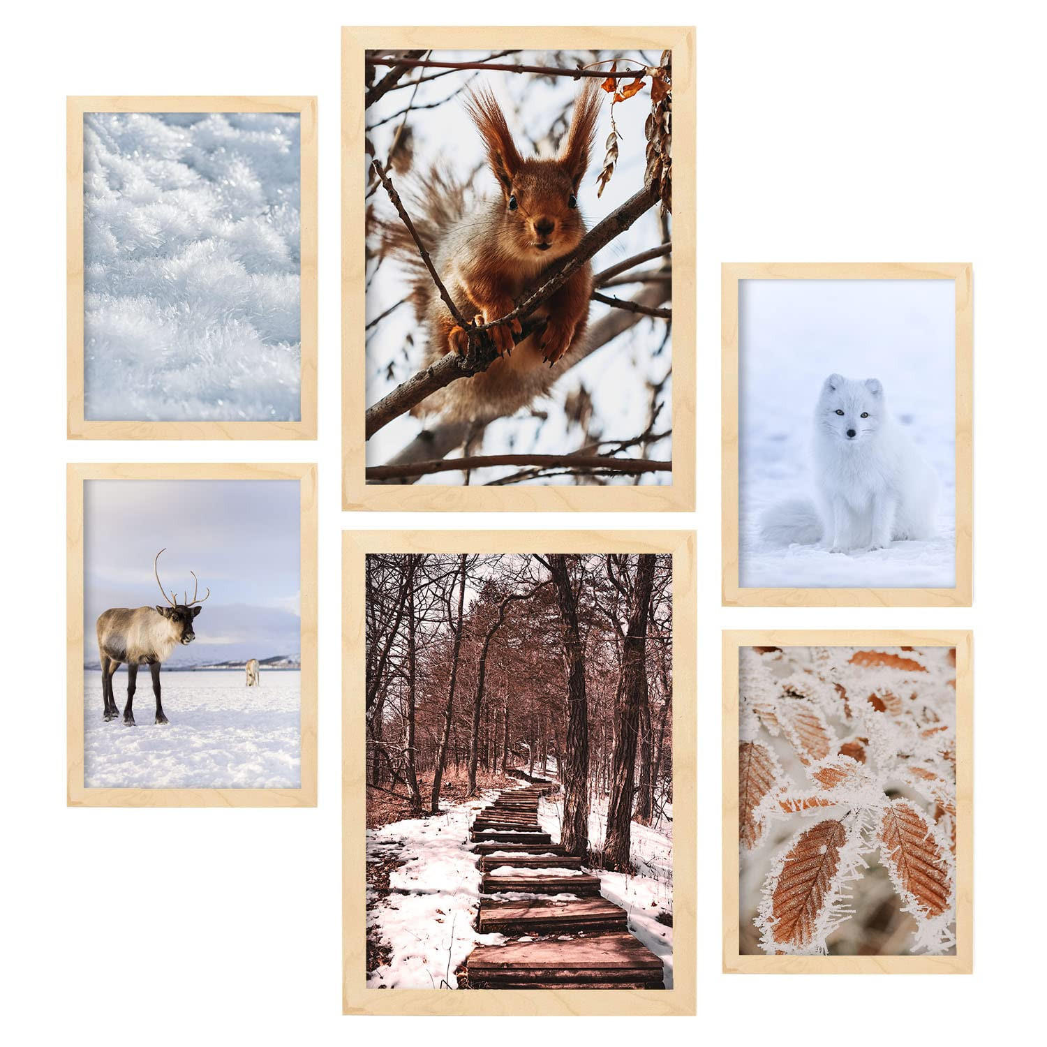 POSTER Set Mit 6 Tiere Im Schnee A3 & A4 Rahmen Aus Hellem Holz - Beige, Papier (29/3cm) - Nacnic