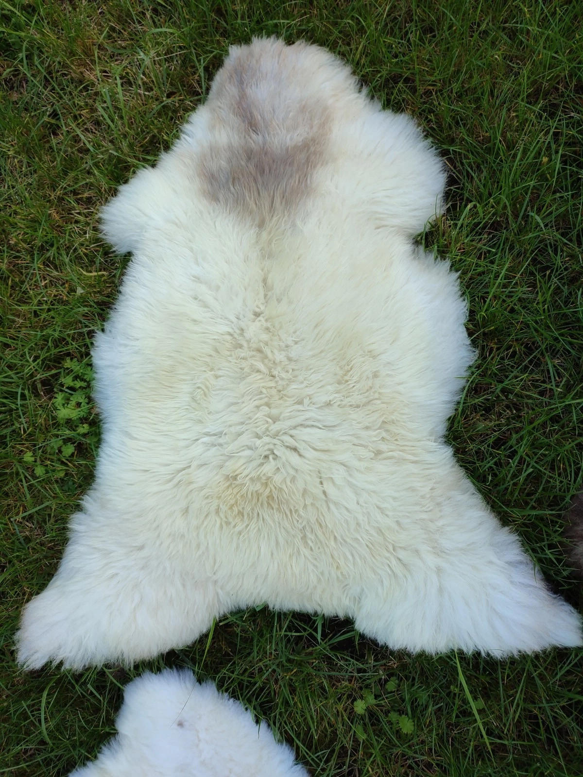 LAMMFELL Natur Schaffell hell gefleckt langhaar ca. 95 cm - Creme/Weiß, Fell (55/95cm) - Provellus