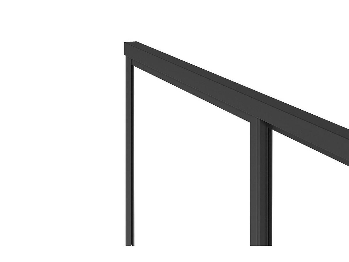 DUSCHTÜR Schiebetür - Schwarz matt - Industrial Style - 120 x 195 cm - TORONI - Schwarz, Metall (120/195cm) - Vente-Unique