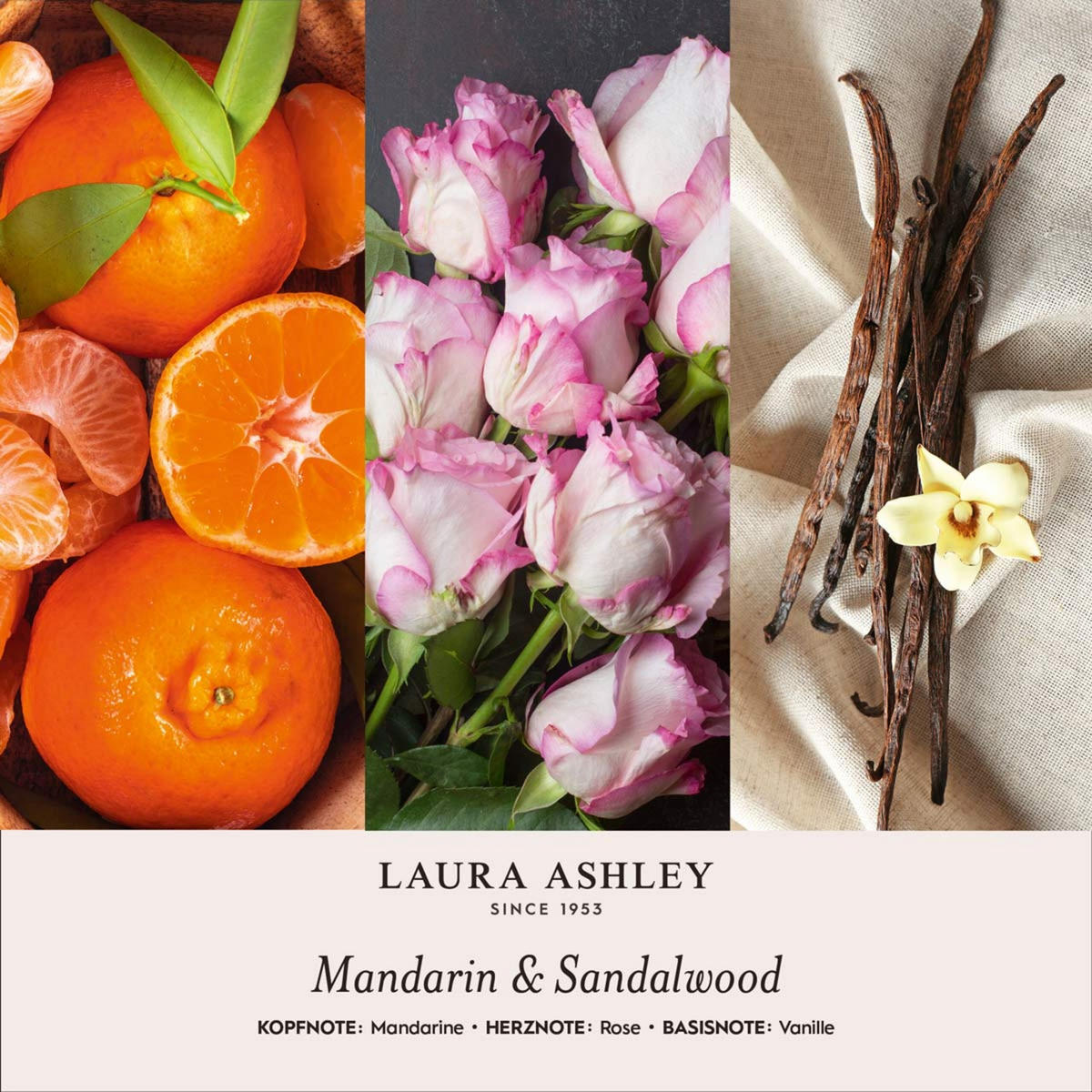 DUFTKERZEN Laura Ashley - Grün, Naturmaterialien/Glas (10cm)