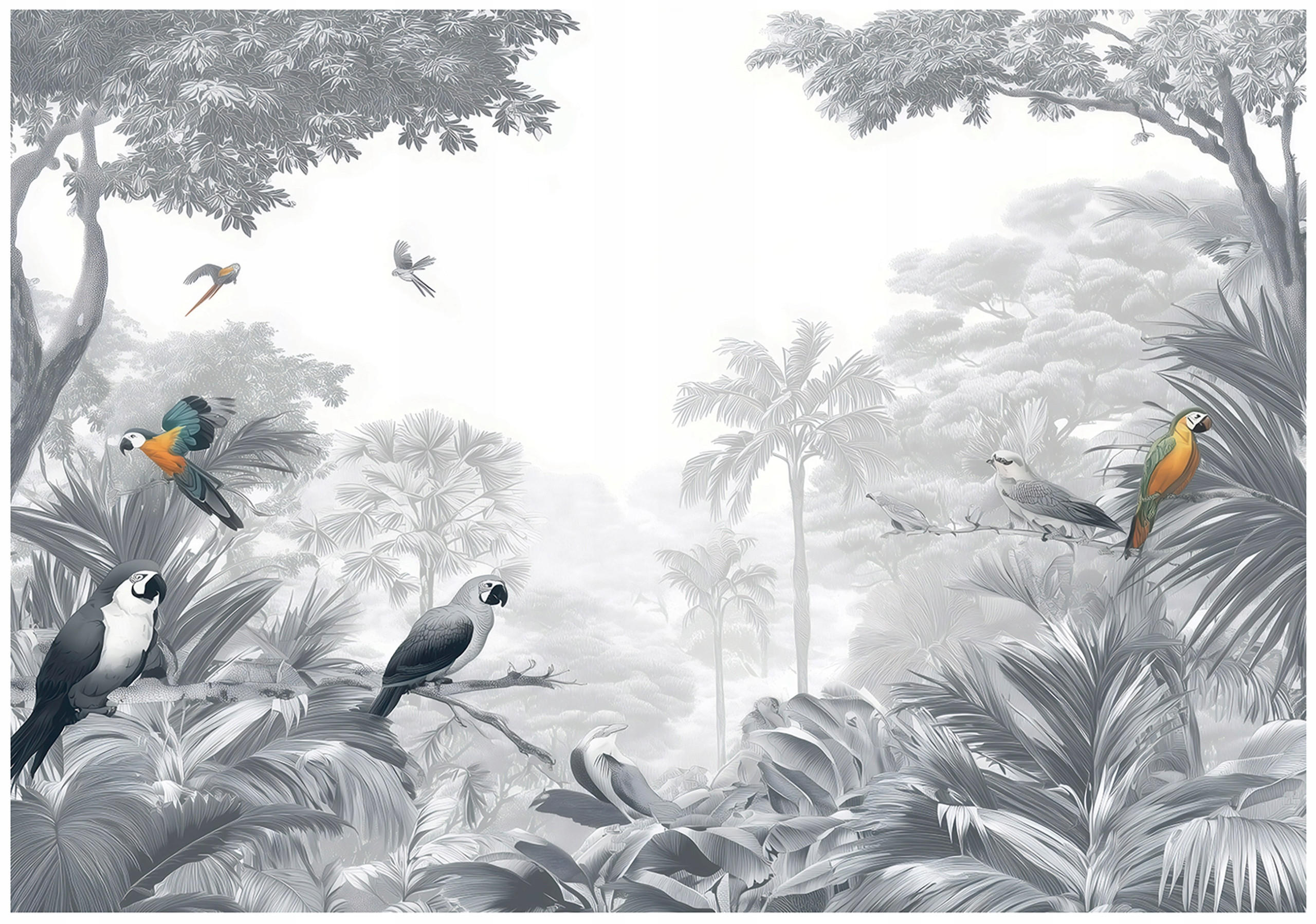 FOTOTAPETE Dschungel Papageien Grau 350x250 cm - Multicolor, Papier (350/250cm) - Wallarena