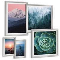 BILDER SET 5er Set - 50x50 cm & 20x30 cm & 40x60 cm Silberner Rahmen - Wasserfälle, Berge, Landschaften, Natur - Silberfarben, Kunststoff (40/60cm) - TULUP