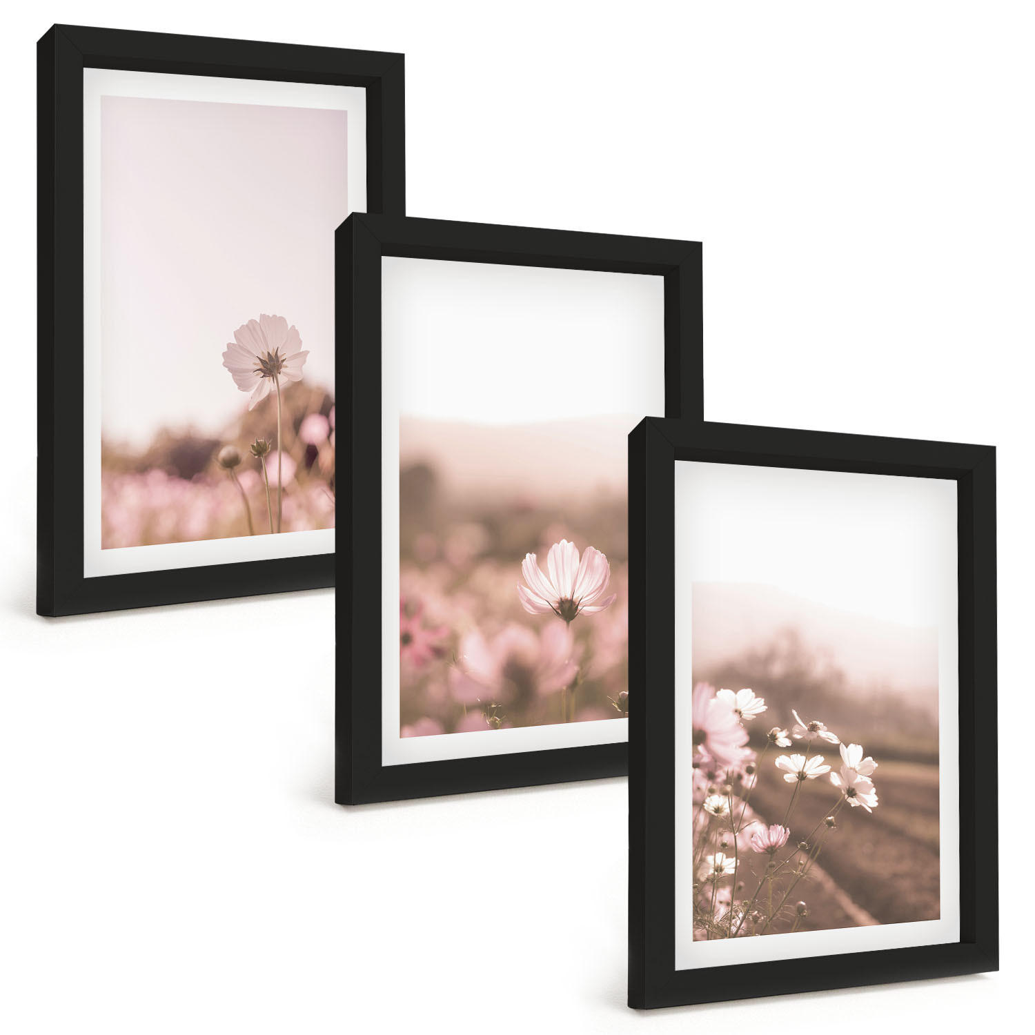 BILDER SET 3er Set - 20x30 cm Schwarzer Rahmen - Sommerlandschaften mit Wildblumenwiesen - Schwarz, Kunststoff (20/30cm) - TULUP