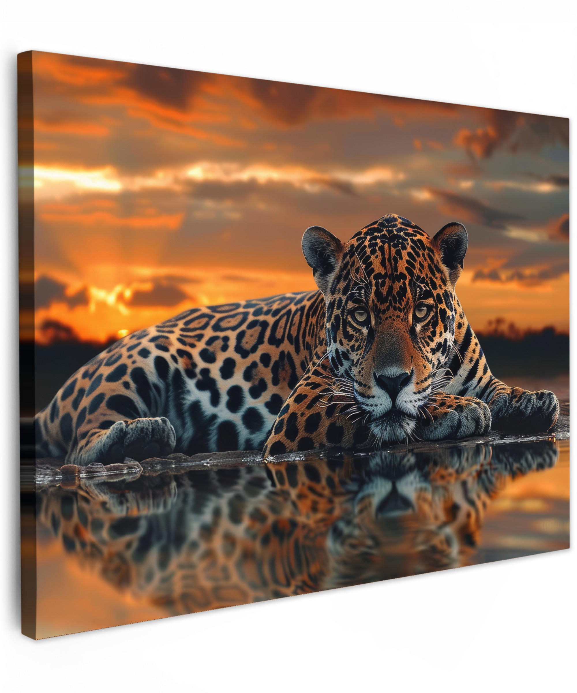 LEINWANDBILD Natur - Leopard - Tier - Sonnenuntergang - Modern 40x30 cm - Orange, Textil (40/30cm) - MuchoWow