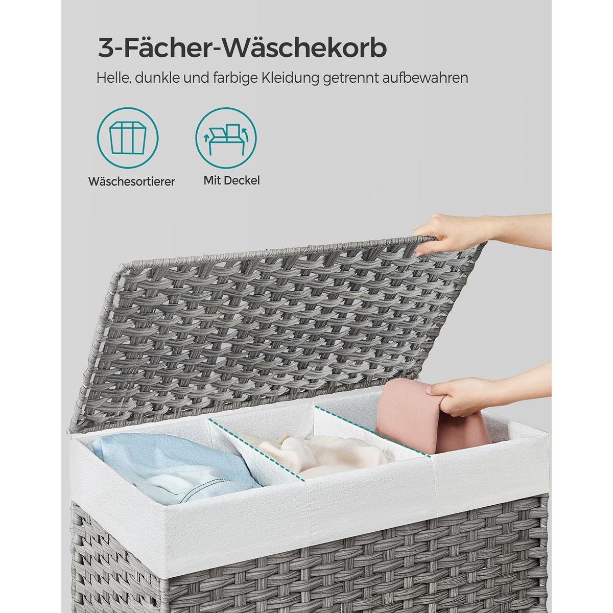 WÄSCHEKORB ANTANANARIVO - Grau, Kunststoff (36/66/70cm) - Hansiro