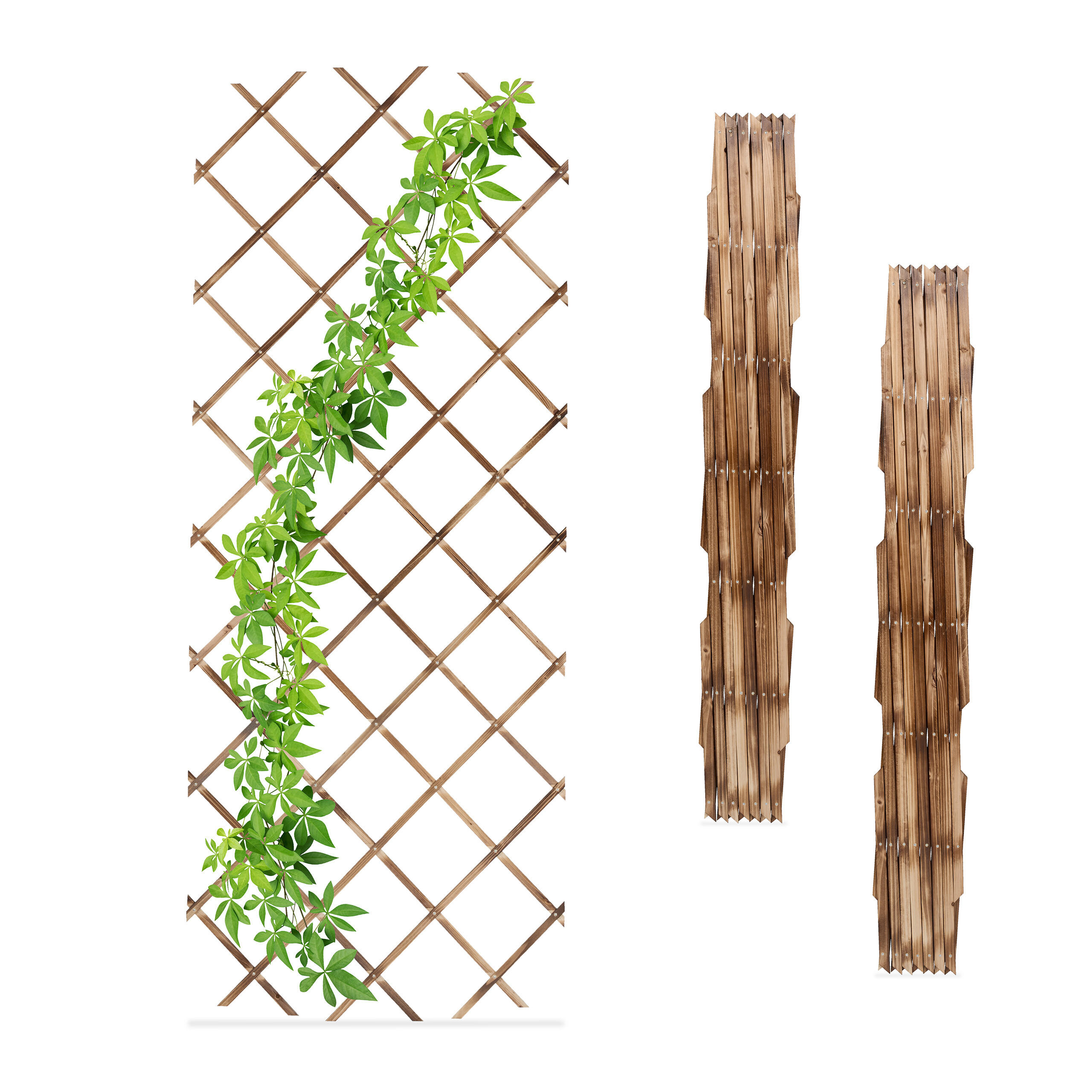 3XRANKGITTER - Multicolor, Holz (46/270/1cm) - Relaxdays