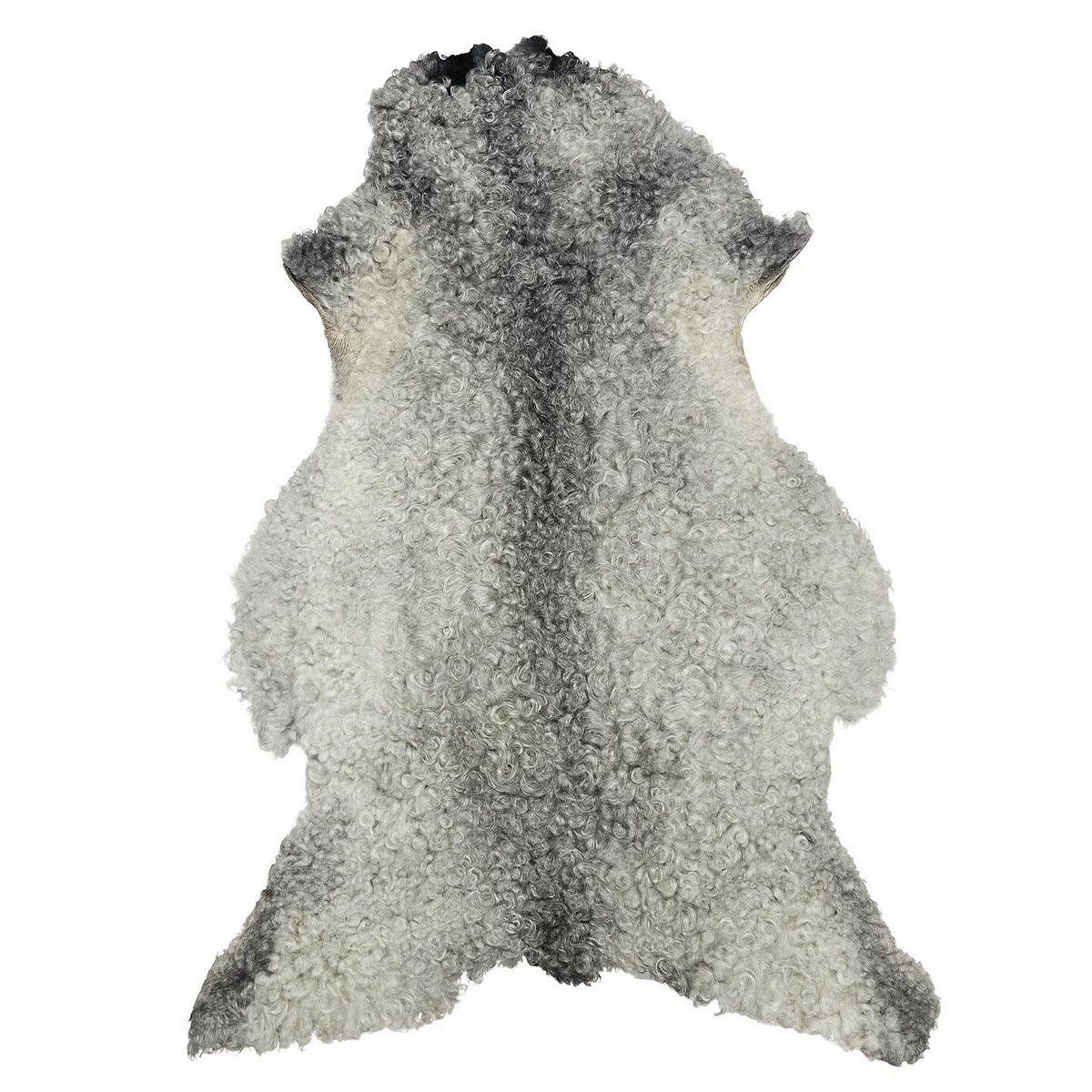 SCHAFFELL Gotland Naturgrau Lockig Unikat ca. 100 cm - Hellgrau, Fell (60/100cm) - Provellus