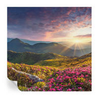 FOTOTAPETE 250x250 cm - Bergpanorama - Grün, Textil (250/250cm) - Wallfluent