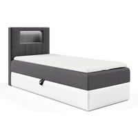 KINDERBETT GARETH 1 - Dunkelgrau/Weiß, Holzwerkstoff (102/212cm) - Meblini