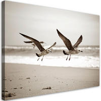 LEINWANDBILD Möwen Vögel Meer Strand beige 120x80cm - Beige, Textil (120/80cm) - Feeby
