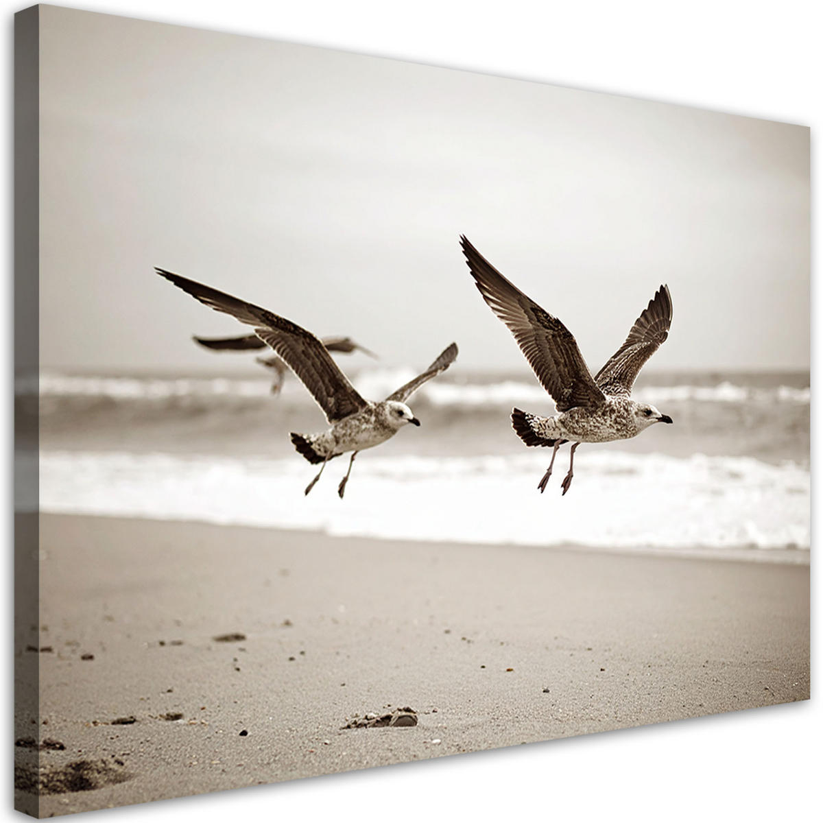 LEINWANDBILD Möwen Vögel Meer Strand beige 120x80cm - Beige, Textil (120/80cm) - Feeby