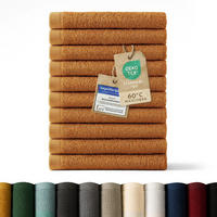 RUČNÍK PRO HOSTY sada 10 ks, 10x ručník pro hosty 30/30 cm, hnědá - hnědá, textil (30/30cm) - Blumtal