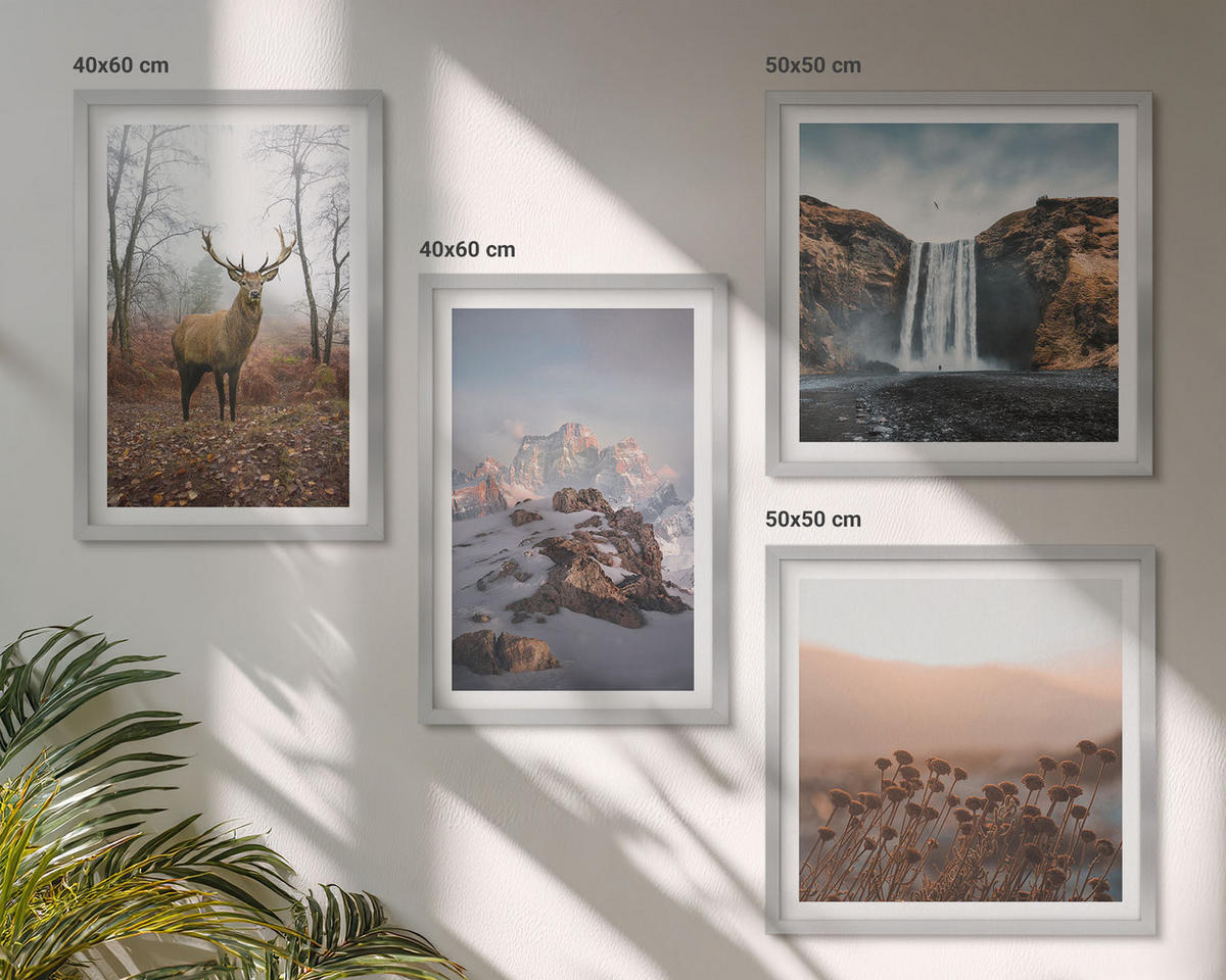 BILDER SET 4er Set - 50x50 cm & 40x60 cm Silberner Rahmen - Wilde Landschaften, Berge, Hirsche - Silberfarben, Kunststoff (50/50cm) - TULUP