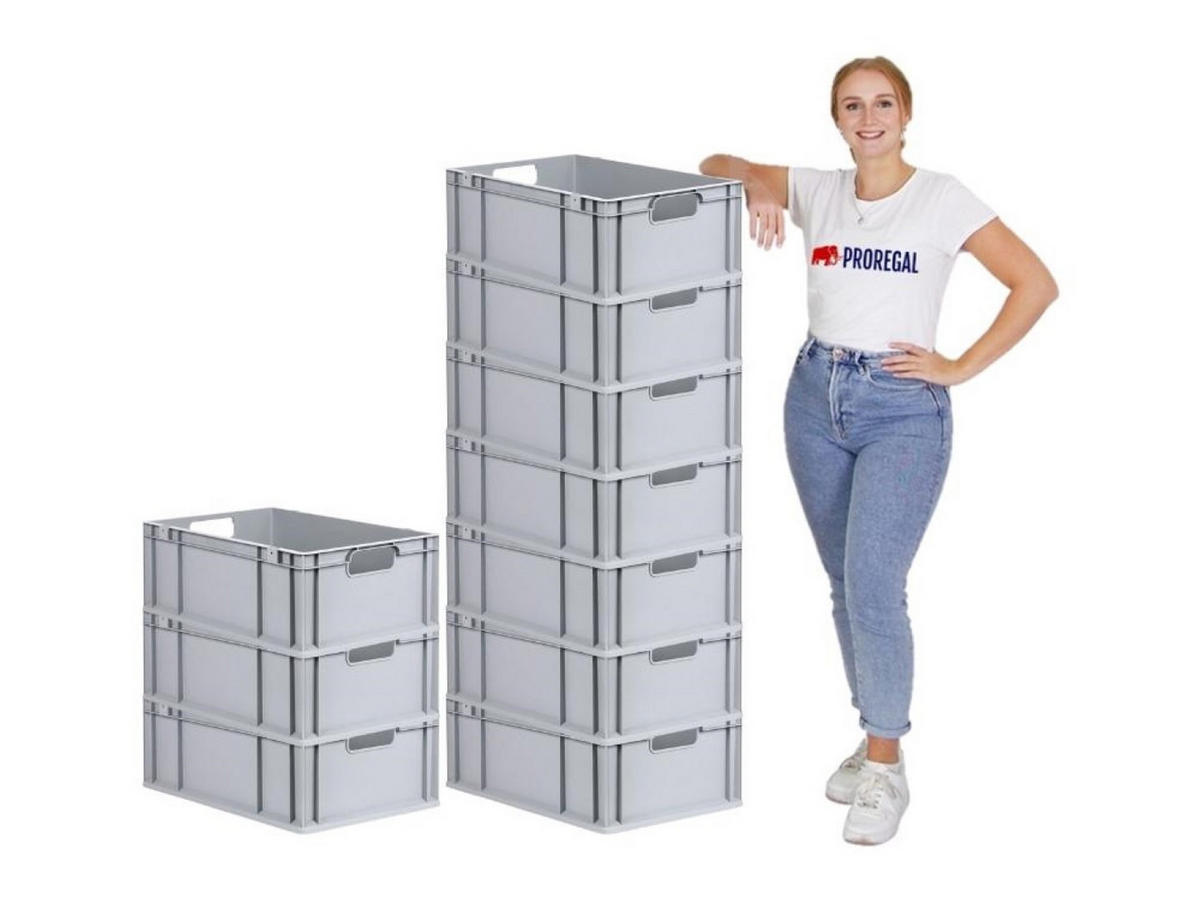 EUROBOX Nextgen Economy Griffe Offen 22x40x60cm 44 Liter - Grau, Kunststoff (40/22/60cm) - PROREGAL