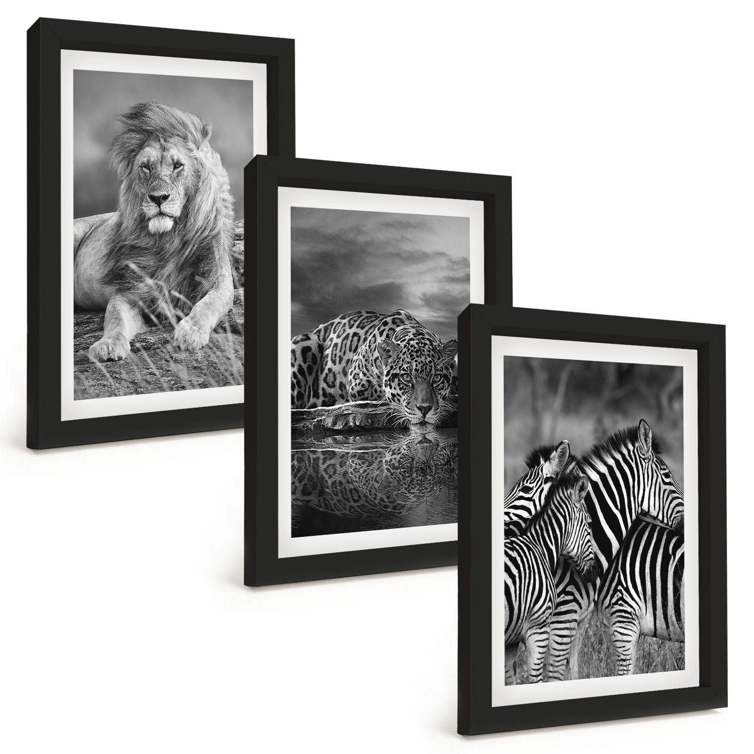 BILDER SET 3er Set - 20x30 cm Schwarzer Rahmen - Wildtiere der Savanne - Schwarz, Kunststoff (20/30cm) - TULUP