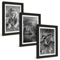 BILDER SET 3er Set - 20x30 cm Schwarzer Rahmen - Wildtiere der Savanne - Schwarz, Kunststoff (20/30cm) - TULUP