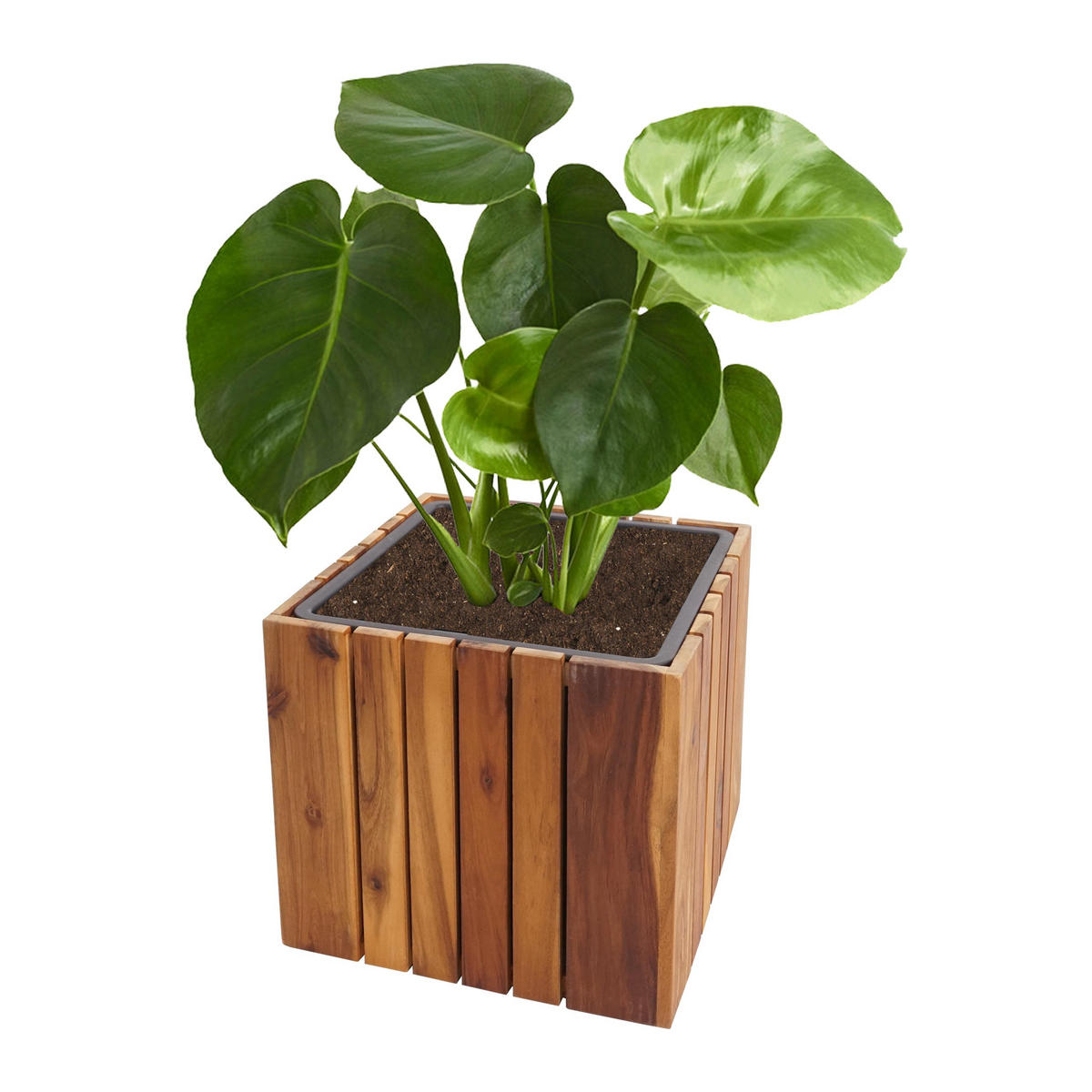PFLANZKASTEN Braun, Schwarz - Schwarz/Braun, Holz (32/32/32cm) - MCW