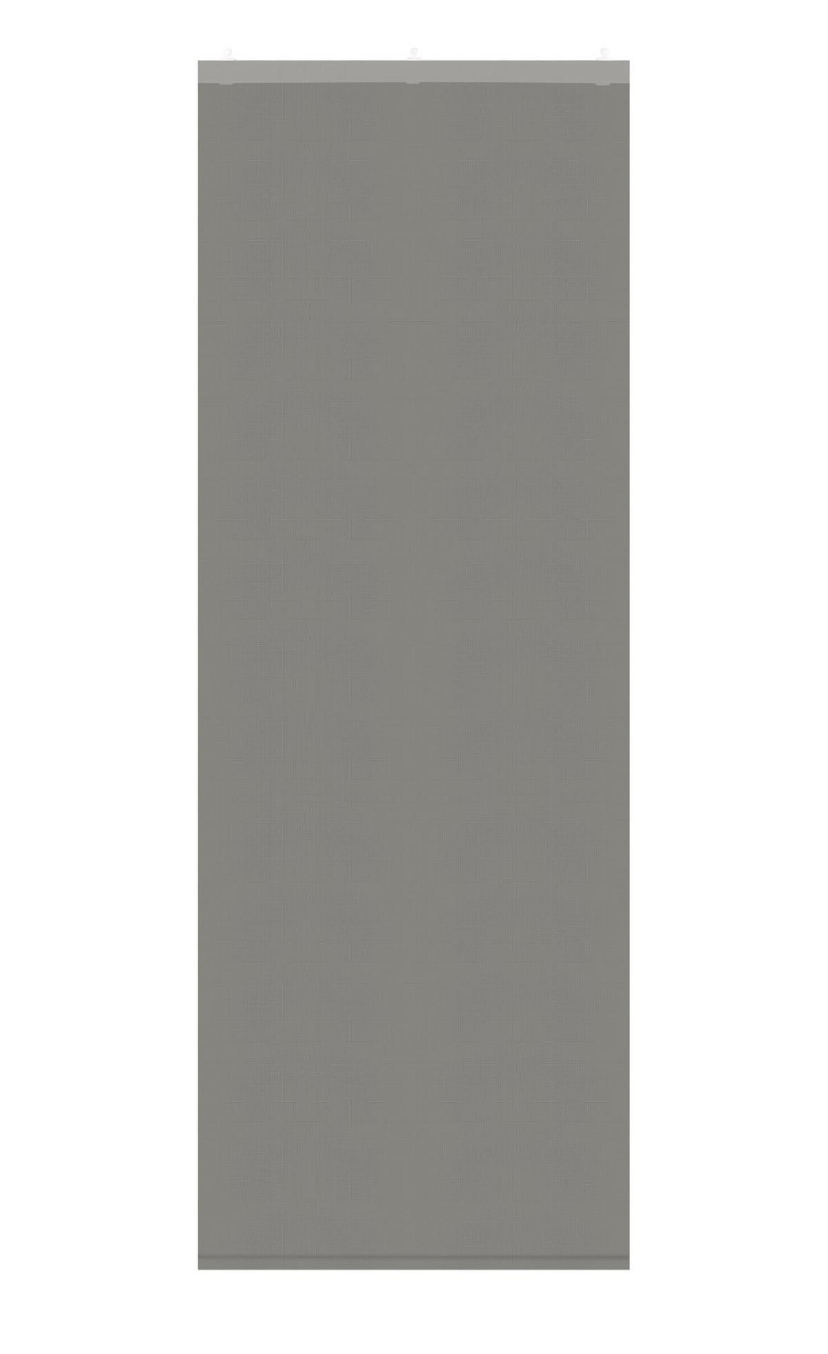 SCHIEBEGARDINE New Amsterdam HxB 245x60 cm Grau - Grau, Textil (60/245cm) - Gardinenbox