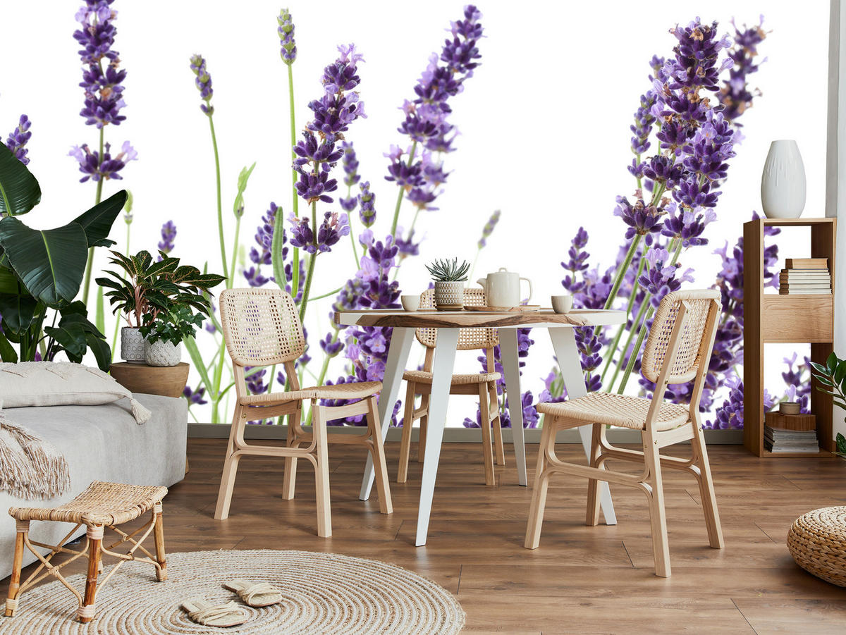 FOTOTAPETE für Küche Lavendelblüten Weißer Hintergrund 300x210 - Violett/Lila, Papier (300/210cm) - Muralo