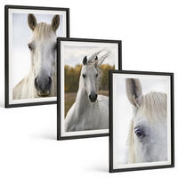 BILDER SET 3er Set - 40x60 cm Schwarzer Rahmen - Weiße Pferde in der Natur - Schwarz, Kunststoff (40/60cm) - TULUP