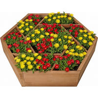 PFLANZBEET Hexy1 - Braun, Holz (100/80/100cm) - needs&wants