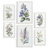 POSTER Set Mit 6 Lilien Vollfarbige Natur Und Botanikdrucke Mit Blumenmotiven Auf Reinweißen Hintergründen Innenarchitektur A3 & A4 Weißer Rahmen - Weiß, Papier (29/3cm) - Nacnic