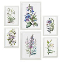 POSTER Set Mit 6 Lilien Vollfarbige Natur Und Botanikdrucke Mit Blumenmotiven Auf Reinweißen Hintergründen Innenarchitektur A3 & A4 Weißer Rahmen - Weiß, Papier (29/3cm) - Nacnic
