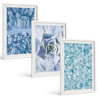 BILDER SET 3er Set - 40x60 cm Weißer Rahmen - Winterwald blaue Blume Wasser - Weiß, Kunststoff (40/60cm) - TULUP