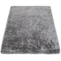 HOCHFLORTEPPICH 120/170 cm Glamour 300 - Grau, Kunststoff (120/170cm) - Paco Home