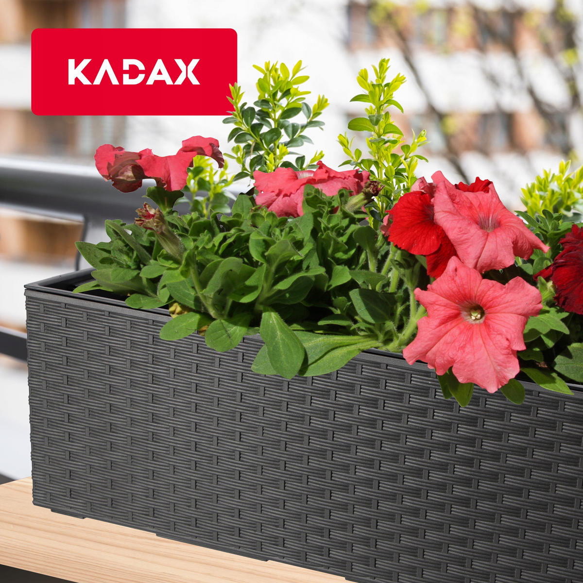 BLUMENKASTEN mit Einsatz 56 cm, Graphit - Graphitfarben, Kunststoff - KADAX