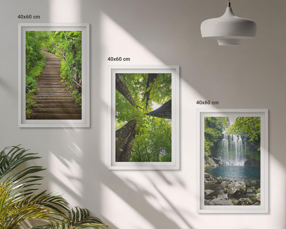 BILDER SET 3er Set - 40x60 cm Weißer Rahmen - Pfad Wald Wasserfall Vegetation - Weiß, Kunststoff (40/60cm) - TULUP