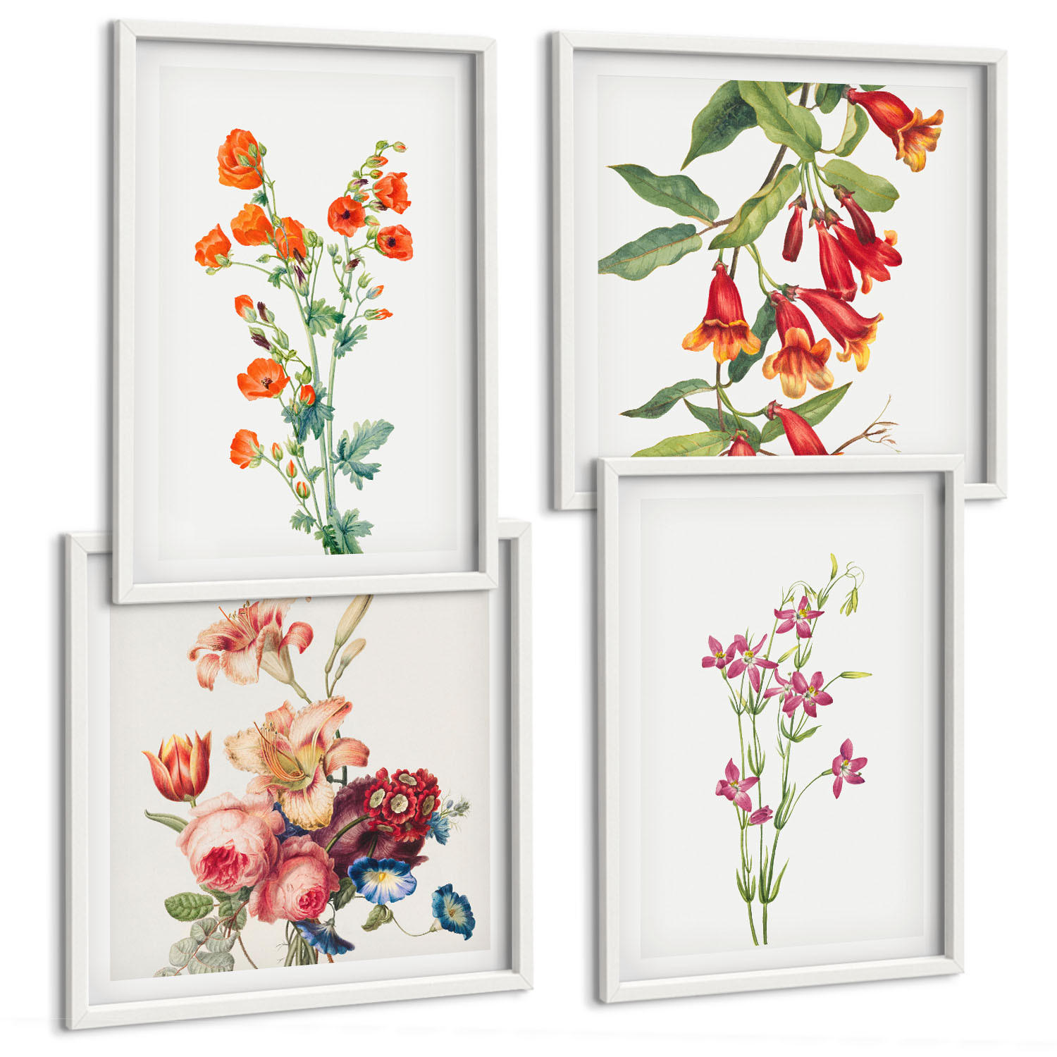 BILDER SET 4er Set - 50x50 cm & 40x60 cm Weißer Rahmen - Blumenmalerei im Retro-Stil - Weiß, Kunststoff (50/50cm) - TULUP