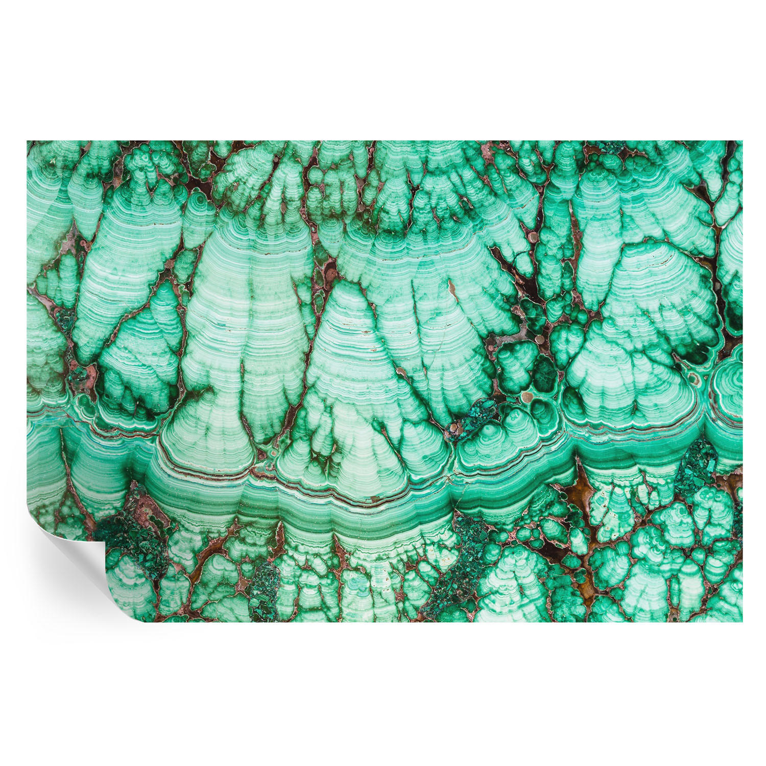 FOTOTAPETE 104x70 cm - Grüne Muster - Beige, Textil (104/70cm) - Wallfluent