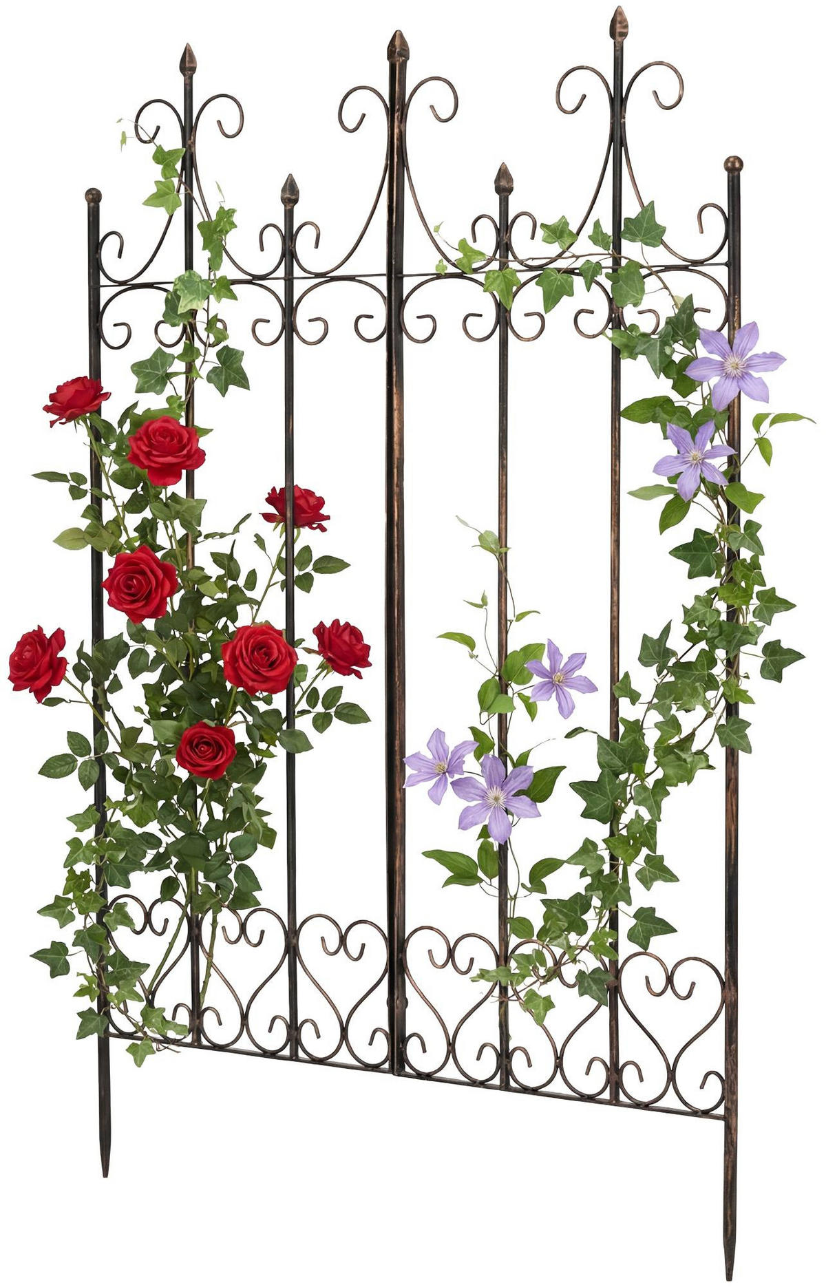 RANKGITTER Metall Bronze - Bronzefarben, Metall (100/150/2cm) - CLP