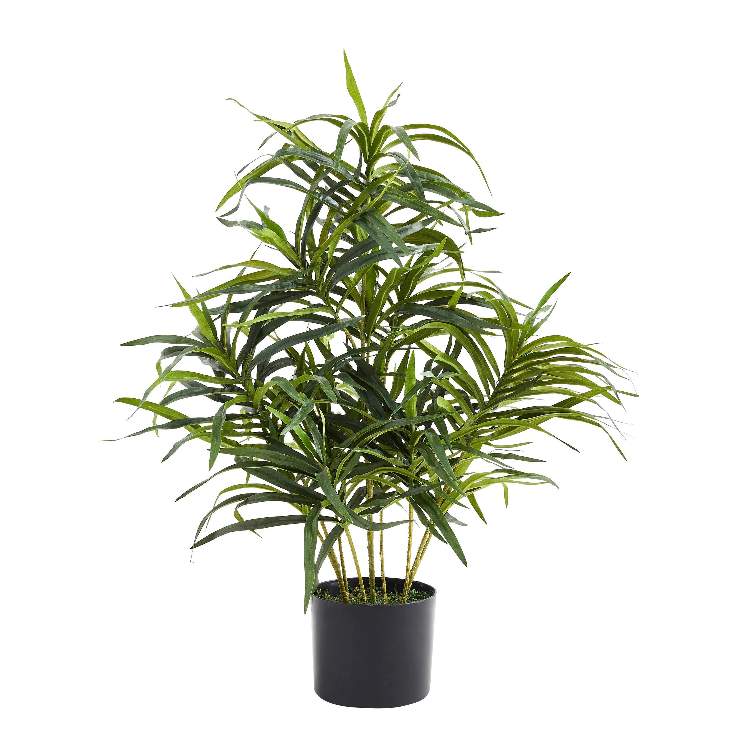 KUNSTPFLANZE Künstliche Dracaena Reflexa – Orielle 70 cm - Grün, Kunststoff (70cm) - aplanta