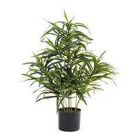 KUNSTPFLANZE Künstliche Dracaena Reflexa – Orielle 70 cm - Grün, Kunststoff (70cm) - aplanta
