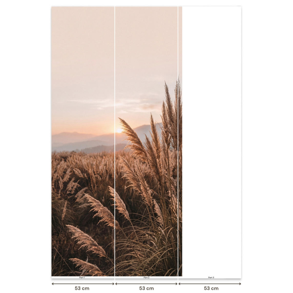 TAPETE - Gras - Feld - Sonne - Natur - 100x220 cm - Sandfarben, Papier (100/220cm) - OnlyWow