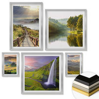 WANDBILDER 5er Set - 50x50 cm & 20x30 cm & 40x60 cm Silberner Rahmen - Aquarell von grünen tropischen Blättern - Silberfarben, Kunststoff (40/60cm) - ArtPrintCave