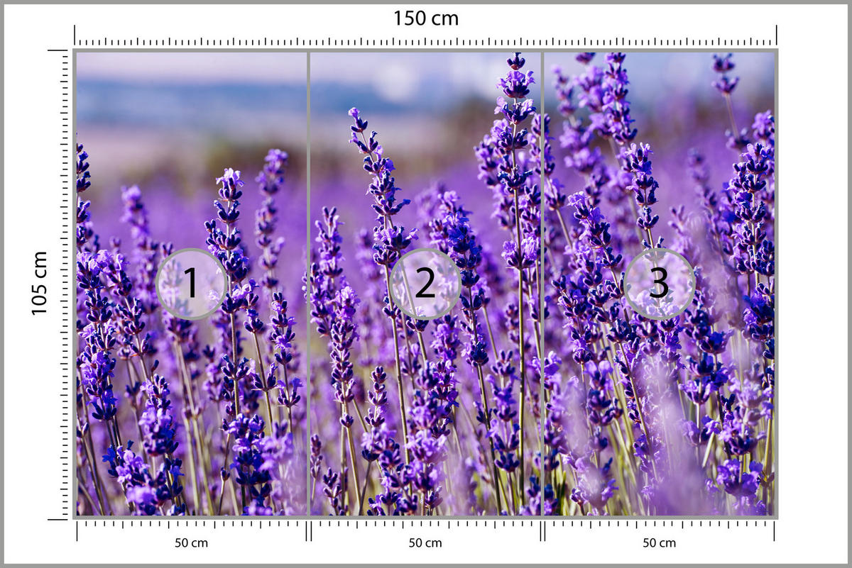 FOTOTAPETA Pre Spálňu Levanduľové Pole Kvety Provensálsko 150 x 105 cm - fialová, papier (150/105cm) - Muralo